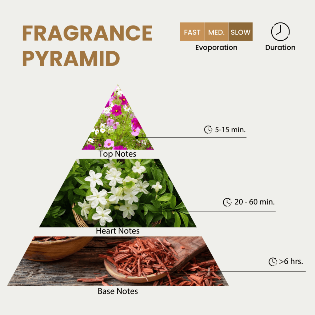 What are Niche Perfumes? The Ultimate Guide 5 fragrance pyramid