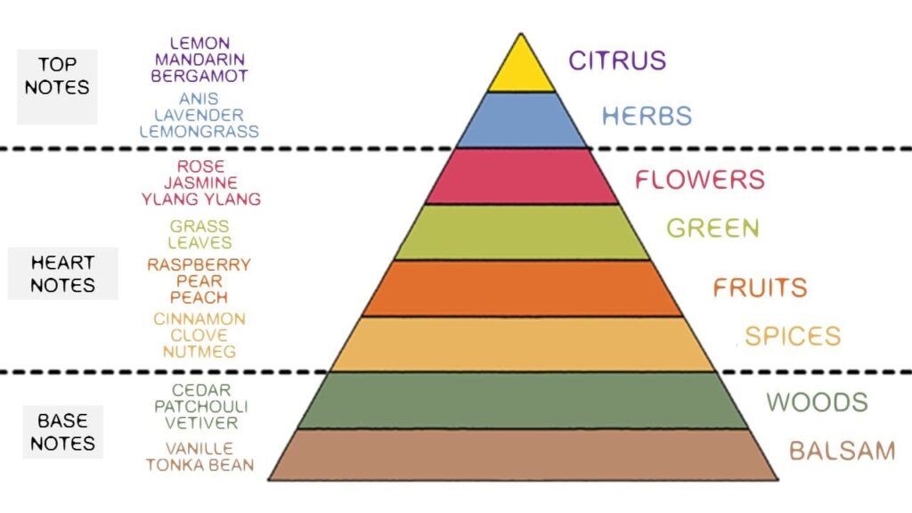 What are Niche Perfumes? The Ultimate Guide 6 fragrance pyramid